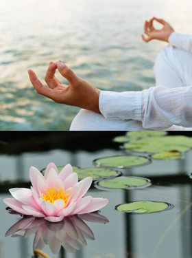 D-Stress & Go - Health & Beuty Professionals