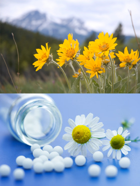 Homeopathy